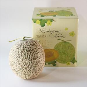 沖縄県宮古島産 春メロン【特大１玉】｜贈答用・高級・赤肉メロン（琉球マルシェ）