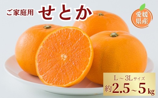 
                  みかん 愛媛 せとか L～3Lサイズ 【選べる容量】 約2.5kg 約5kg バラ詰め ご家庭用 ＜2026年2月中旬から順次発送予定＞ 先行予約 数量限定 人気 柑橘 フルーツ 国産 愛媛県産 伊予市
                