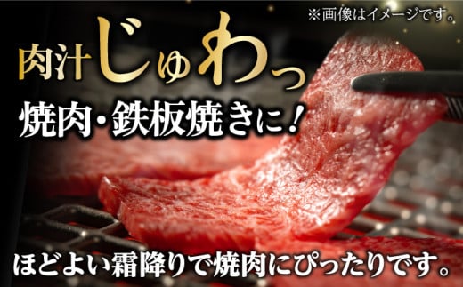 NA47 【A5ランク鉄板焼きがたまらない！】長崎和牛ウデ・みすじ鉄板焼肉用スライス700g-3