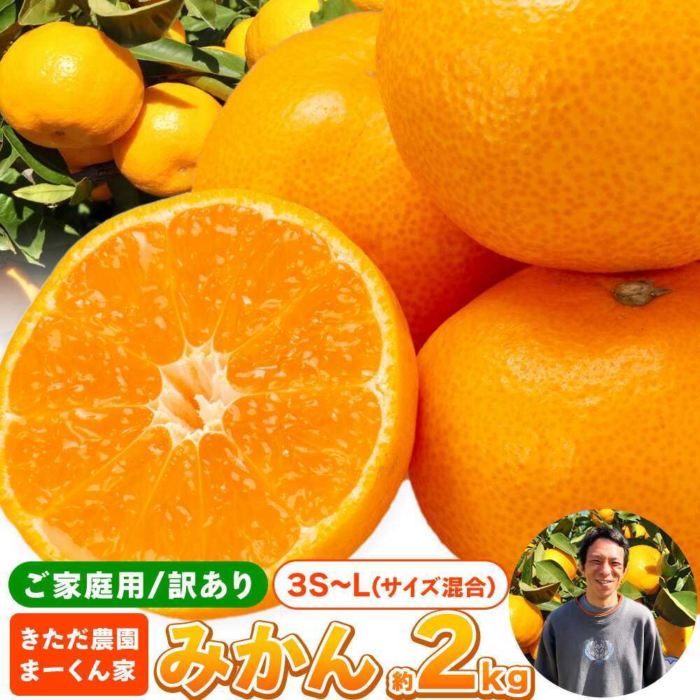 【ふるさと納税】みかん 訳あり お試し 約 2kg 3S〜L サイズ混合 きただ農園まーくん家《11月中旬-12月中旬頃出荷》和歌山県 紀の川市 送料無料 訳あり みかん ご家庭用 柑橘類 柑橘 フルーツ 果物 お取り寄せフルーツ