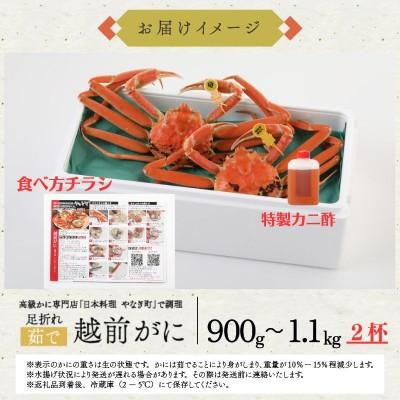 ふるさと納税 福井市 【11〜12月発送】【2杯セット】蟹料理店の訳あり茹で越前がにズワイガニ 大900g〜1.1kg足折 |  | 03