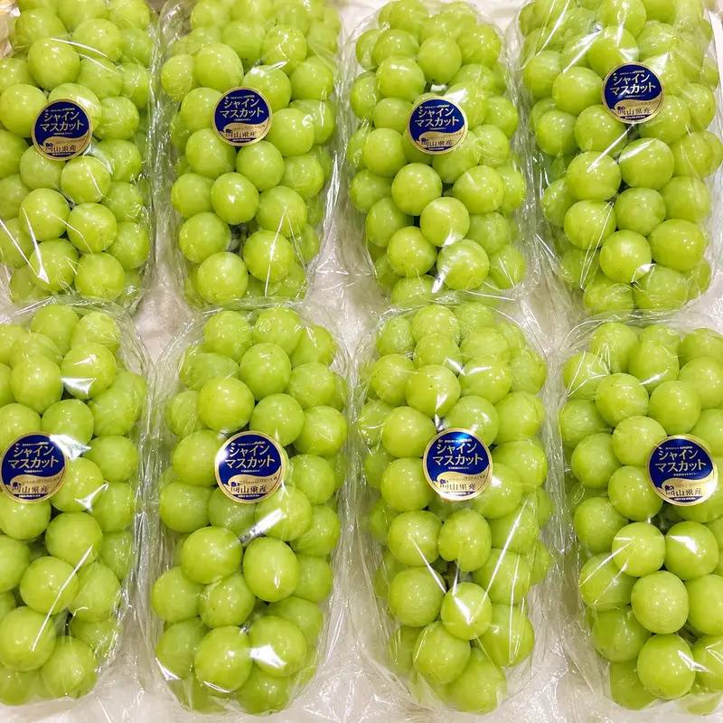 シャインマスカット ぜきお農園 岡山県産 シャインマスカット【2房 約1kg】【先行予約】