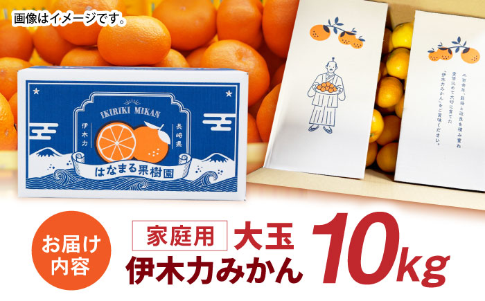 ※【2025年11月発送分／先行予約】伊木力みかん（大玉）10kg / みかん ミカン 蜜柑 フルーツ 果物 / 諫早市 / 山野果樹園 [AHCF005]