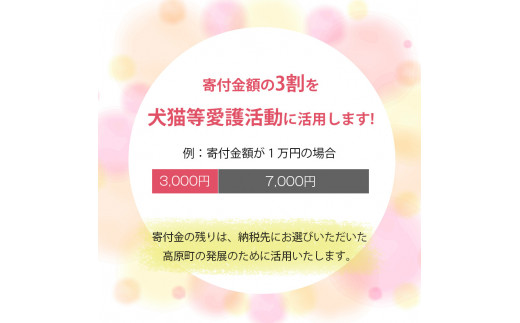 
【返礼品なし】【犬猫等愛護活動 犬と猫と人にとって住みよい社会づくりを応援】宮崎県 高原町 特定非営利活動法人 咲桃虎(さくもんと)　TF3012
