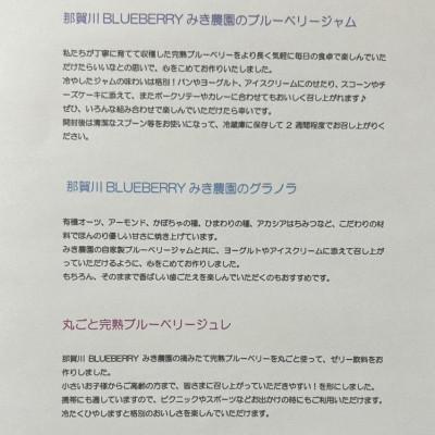 ふるさと納税 阿南市 みき農園のとびきり!ブルーベリーパフェ体験セット |  | 02