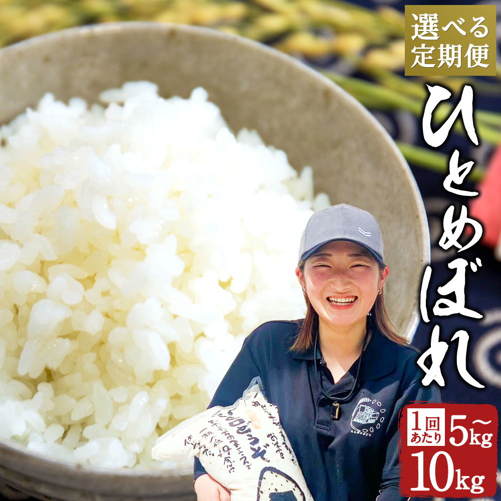 【ふるさと納税】【選べる定期便】ひとめぼれ 5kg／10kg 3ヶ月定期便（合計15kg～30kg） または 6ヶ月（合計30kg～60kg） 選べる容量 大分県産 精米 米 国産 九州産 送料無料【2025年10月下旬発送開始】