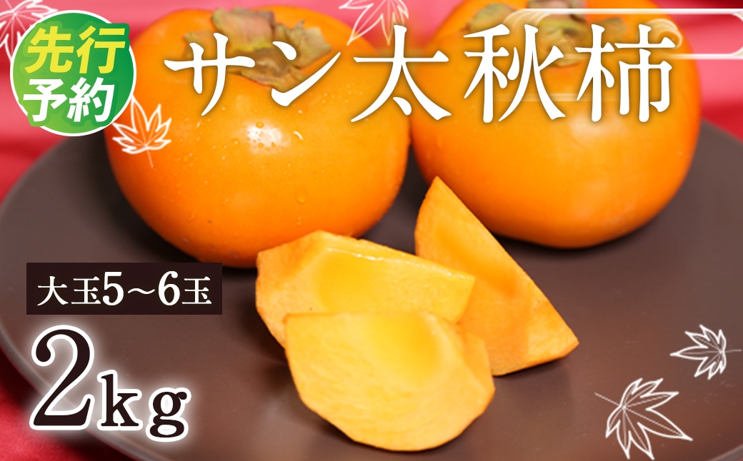 
                  サン太秋 化粧箱 大玉 5～6玉 約2kg 【2026年10月下旬～12月上旬発送予定】
                