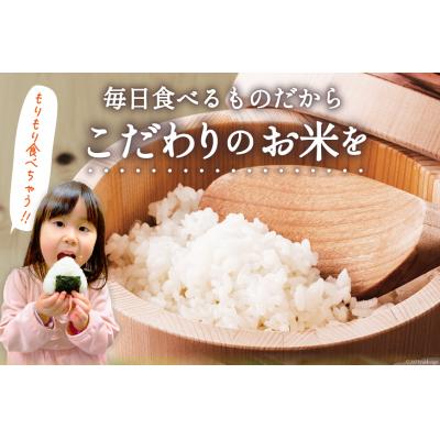 ふるさと納税 気仙沼市 米 宮城県産 だて正夢 10kg (5kg×2袋) 気仙沼米穀商業協同組合 20565610 ◎ |  | 01
