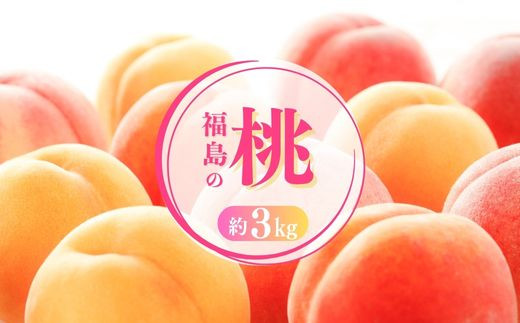 No.1698もも 白桃&黄桃食べくらべセット 約3kg【2025年発送　先行予約】