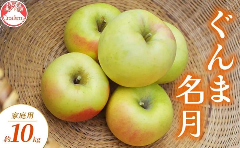 ぐんま名月 家庭用 約10kg りんご リンゴ 林檎 果物 フルーツ 長野県 長野 山ノ内町