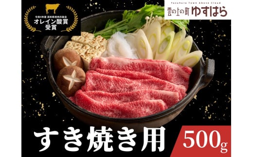 四国カルスト高原で育った土佐あかうし すき焼き用 500g　牛肉 和牛 赤毛 高知県産