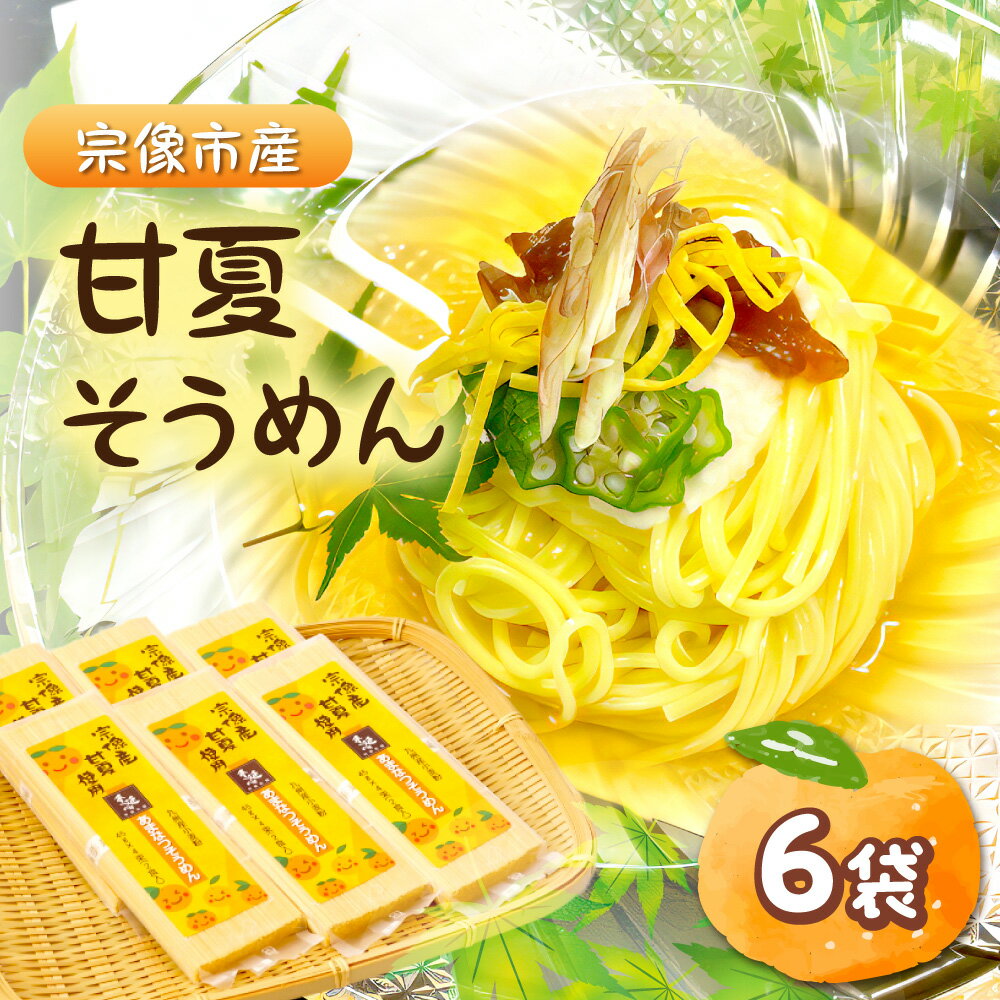 【ふるさと納税】【道の駅むなかた】宗像市産甘夏そうめん 6袋セット_HA1826 そうめん 麺 素麺 手延べ 乾麺 甘夏 あまなつ 柑橘類 宗像市