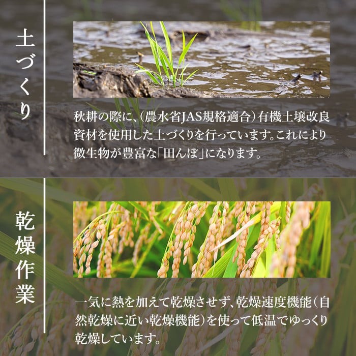 【令和7年産 新米】お米農家直送！ササニシキ 5kg お米 おこめ 米 コメ 白米 ご飯 ごはん おにぎり 宮城米 ささにしき 新米 令和7年産 お弁当 【お米農家ろくすみファーム】 ta522