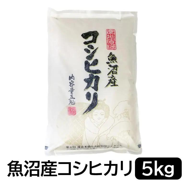 お米マイスター厳選！魚沼産コシヒカリ５kg×隔月6ヶ月 定期便 新潟県