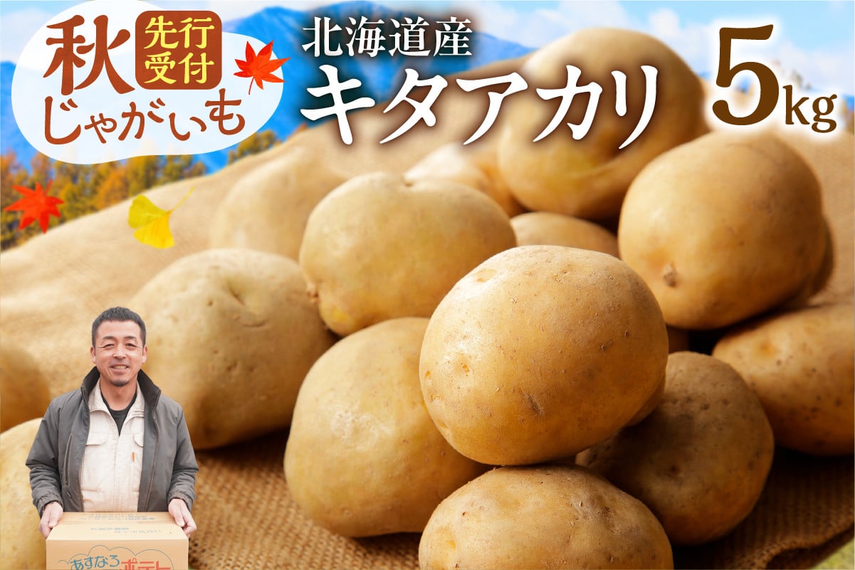 今が旬！すぐ届く！北海道の味覚定番！鮮やかな黄色と甘みが特徴の「キタアカリ」 ホクホク！しっとりなめらか！ 【北海道産 キタアカリ いも じゃがいも きたあかり イモ 約5kg じゃがいも いも 芋 産地直送 秋】