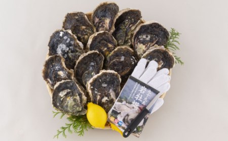 牡蠣 【産地直送】大粒 3kg 冷凍 牡蠣 かき A163