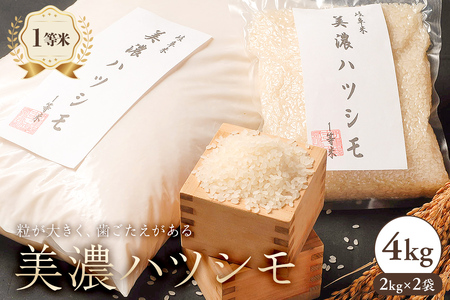 美濃ハツシモ　1等米4kg（2kg×2袋）【0021-006】 米 一等米 ご飯 岐阜 歯ごたえ あっさり 国産 