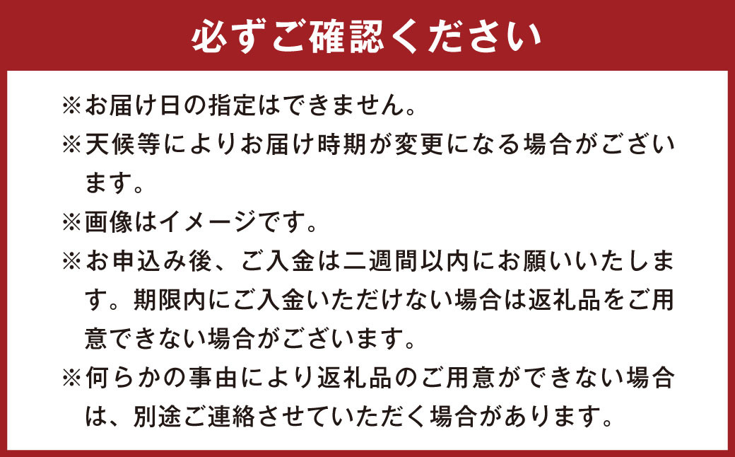 熊本県産 新たまねぎ 【サイズ混合 約5㎏ 15玉前後】