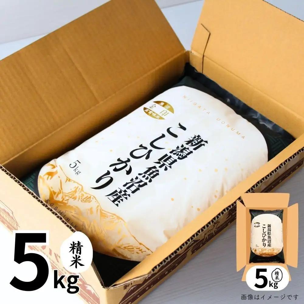 3ヶ月定期便 魚沼産コシヒカリ 金印 高食味米 5kg 有限会社イタバ |津南町 魚沼 令和7年