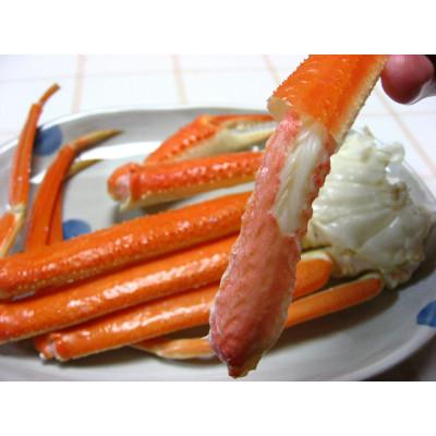 ふるさと納税 岩美町 鳥取網代港　地元で大人気　浜茹で!若松葉ガニ(中5枚分10肩)【さかなや新鮮組】 |  | 02