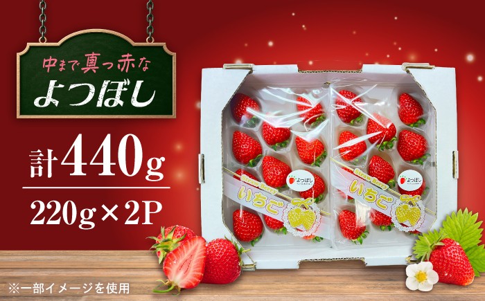 美しい輝き中まで真っ赤なよつぼし