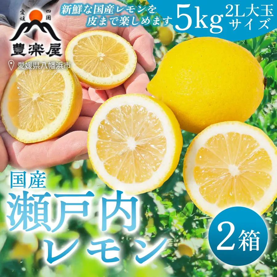 【先行受付】【防腐剤・ワックス不使用で安心】真穴産地直送のレモン 5kg×2箱(2Lサイズ大玉)【G98-11】 YWTBU011