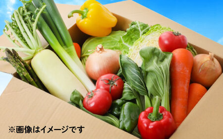 【3回定期便】野菜のプロが選ぶ 旬の野菜セット 12-13品目 野菜定期便 / 野菜 やさい セット 新鮮 / 南島原市 / 愛2農園[SGG004]