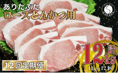 N120-4 【12回定期便 総計12kg】 ありたぶた ロース とんかつ用 約1kg (1枚約100g×10パック) 12回 定期便 小分け 真空パック 豚肉