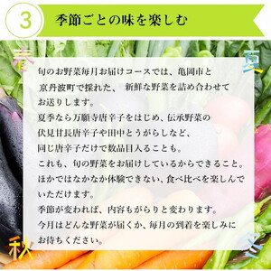 【3回定期便】旬の京野菜　毎月お届けスペシャルコース（全3回） ※沖縄・離島・諸島へのお届け不可≪京都 丹波 野菜 ふるさと納税野菜 野菜詰め合わせ 野菜セット 野菜定期便 厳選野菜 旬野菜 京都府亀