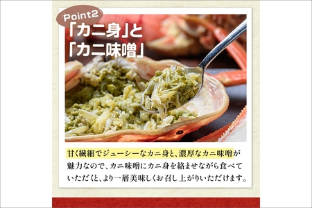 【蟹の匠 魚政】京丹後市産 未冷凍 茹で間人ガニ大善ガニ 特撰 小サイズ (600~700g) 2匹セット（11月～12月発送）