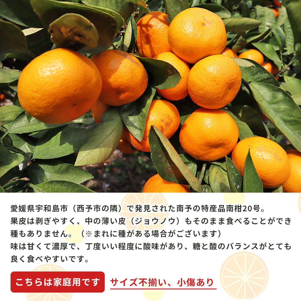 ＜愛媛県西予市産 温州みかん（南柑20号）家庭用 約5kg（サイズ不揃い・小傷あり）＞ 訳あり 果物 くだもの ミカン 柑橘 フルーツ 段畑みかん株式会社 愛媛県 西予市