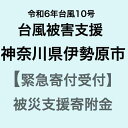 【ふるさと納税】【令和6年台風10号被害支援緊急寄附受付】神奈川県伊勢原市災害応援寄附金（返礼品はありません）