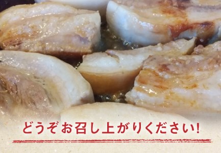 【ふるさと納税】焼肉セット5品_M04-0114