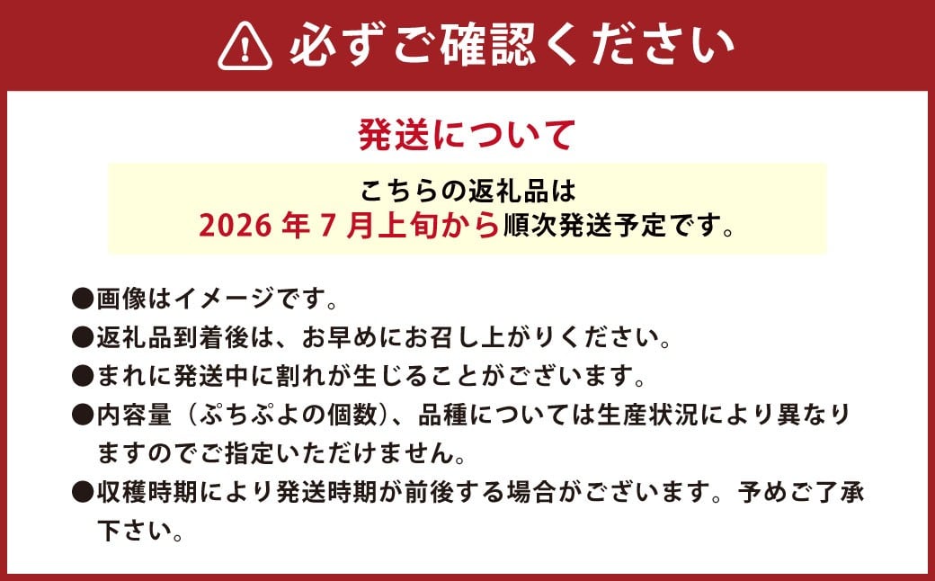 音楽を聴いて育った 「ミニトマト2段 黒 ／ 赤 BOX」