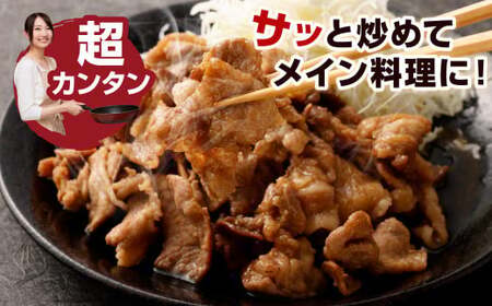 【3ヶ月定期便】 九州産豚 タレ漬け 合計2kg 500g×4袋 ×3回 総計6kg 豚肉 小間切れ コマ切れ 肉 タレ 冷凍 豚 小分け 簡単調理 定期便 3回 国産 九州産 熊本県 水俣市 