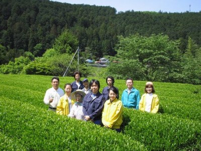 11-21 抹茶入り水出し煎茶ティーバッグ5袋