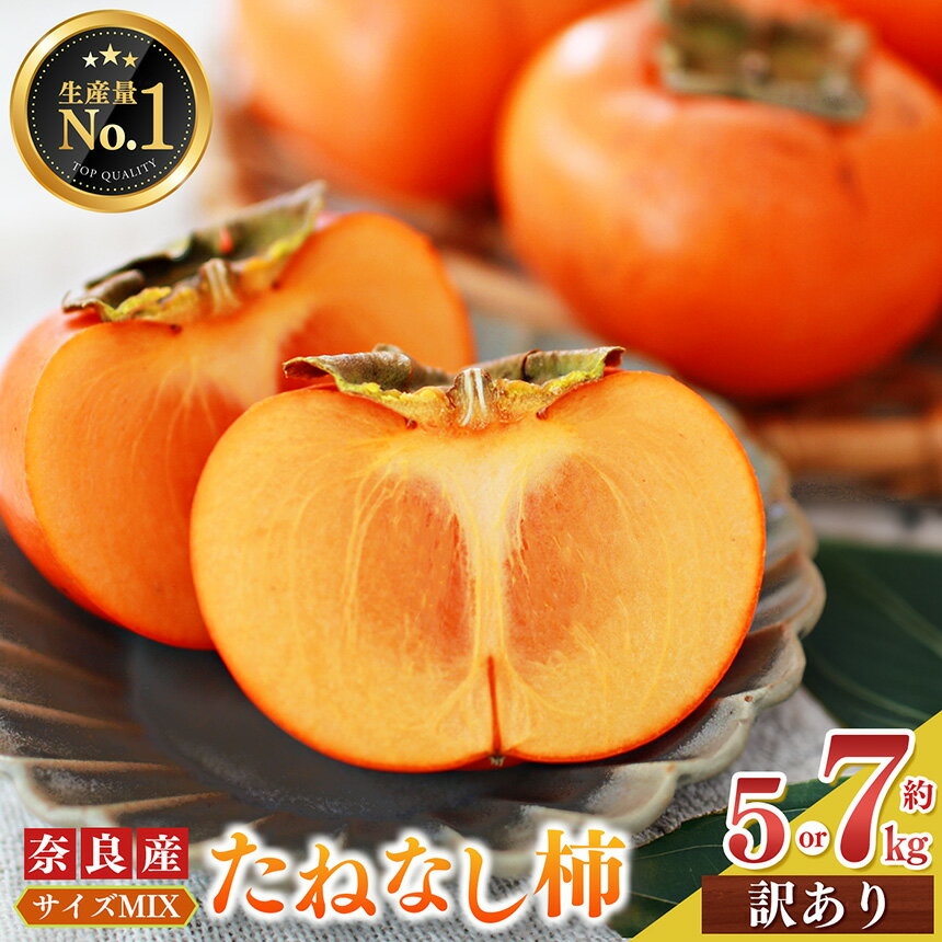 【ふるさと納税】 たねなし柿 訳あり サイズMIX | フルーツ くだもの 果物 柿 かき カキ たねなし柿 訳あり 訳アリ 規格外 ご家庭用 わけあり 不揃い ふぞろい 奈良県 五條市