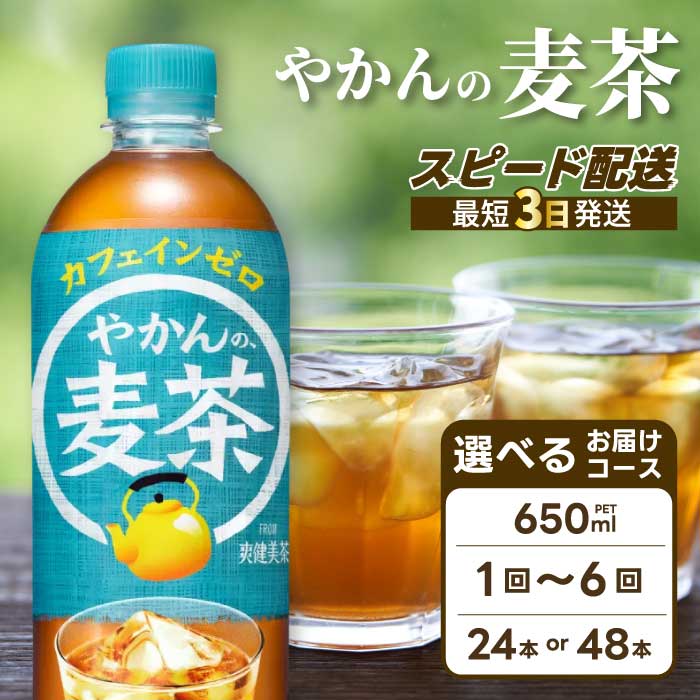 【ふるさと納税】【選べる本数・回数】やかんの麦茶 from 爽健美茶 PET 650ml 24本 （1ケース）/48本（2ケース）お届け回数 1回 定期便2回～6回 最短3日で発送 ドリンク ペットボトル ソフトドリンク お茶 むぎ茶 飲料 カフェインゼロ 箱買い まとめ買い 防災 備蓄 人気