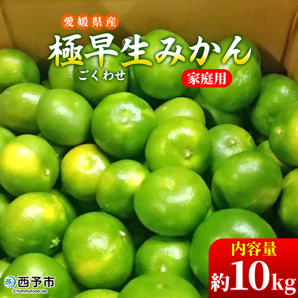 ＜愛媛県産 極早生みかん 約10kg ご家庭用＞ 温州みかん 家庭用 訳あり 果物 ミカン 柑橘 フルーツ 特産品 段畑みかん株式会社 愛媛県 西予市