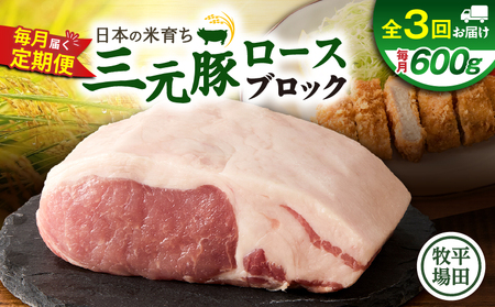 【 全3回 毎月 定期便 】 日本 の 米育ち 平田牧場 三元豚 ロース ブロック 600g T036-T06-01 定期 肉 お肉 にく 豚 豚肉 ブタ ぶた とんかつ 焼豚 黒豚 冷凍 バークシャー種 特別品種 便利 パック おかず 夕食 美味しい おいしい ジューシー ふるさと納税 北海道 苫小牧市 おすすめ ランキング プレゼント ギフト