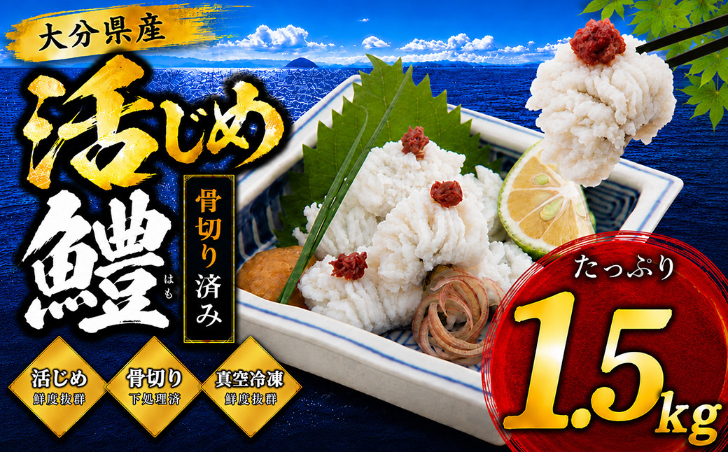 大分県産活じめ鱧（はも）1本物 たっぷり 1.5キロ 骨切り切身 ＜108-007＞