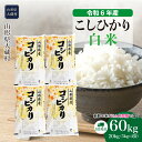 【ふるさと納税】＜令和6年産米＞ 大蔵村 コシヒカリ ＜白米＞ 60kg 定期便（20kg×3回お届け）