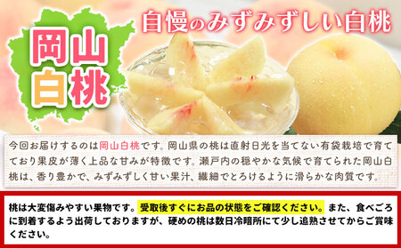 【2026年先行予約】桃 もも 岡山白桃 3玉(800g以上) 岡山県産 環山堂株式会社《2026年7月上旬-8月上旬頃出荷》岡山県 浅口市 白桃 果物 フルーツ 送料無料