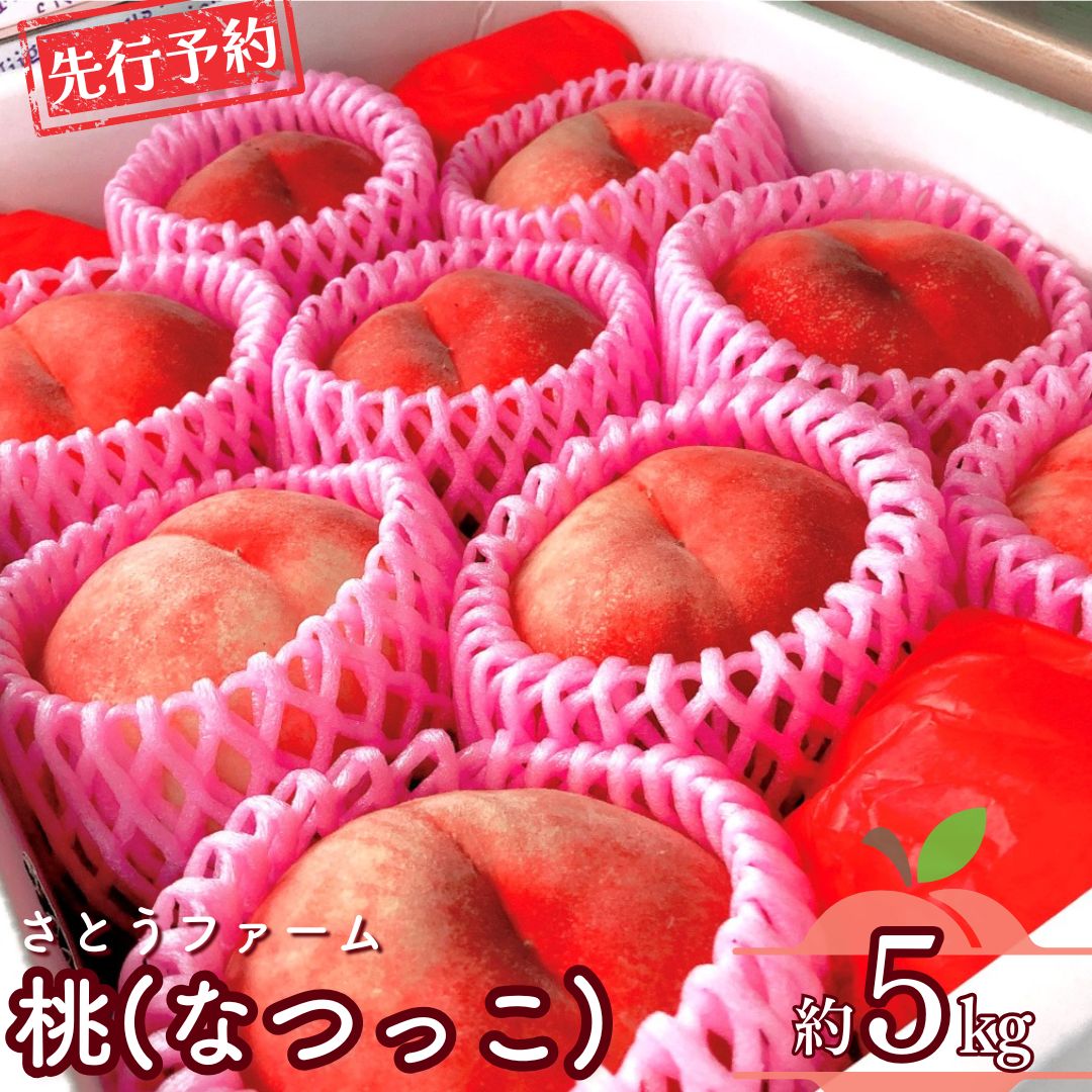 【ふるさと納税】先行予約 桃 (なつっこ) 5kg 令和8年度 新潟県産 桃 [さとうファーム] 【020S029】