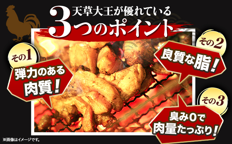 【幻の地鶏】天草大王半身燻製 1本入(約650g以上) 大海水産株式会社《45日以内に出荷予定(土日祝除く)》地鶏 鶏肉---sms_cadhk_45d_23_13000_650g---