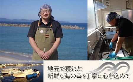 シロイカ入りイカの一夜干し食べくらべセット（Bセット）