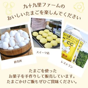 【定期便9回】九十九里ファームこだわりたまご贈答用30個～あおい海・みどりの里～《白玉》 ／ たまご 卵 玉子 タマゴ 生卵 鶏卵 30個 定期便