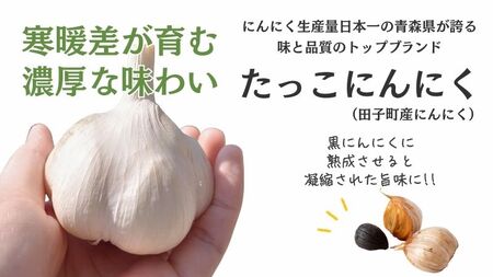 田子熟成黒にんにく90g×3（青森県田子町産にんにく使用）