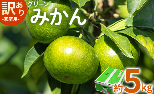 家庭用 訳あり グリーンみかん 約5kg - 送料無料 ミカン 蜜柑 柑橘 果実 ご自宅用 旬 かなや農園 合同会社Benifare 柑橘類 すっぱい 早生 わせ 爽やか be-0067