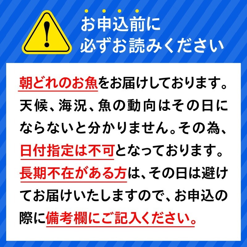 【6ヶ月定期便】大和の高級お刺身6人前 N072-YF071_1